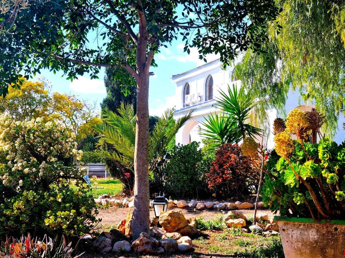 Villa Alicante Sol Y Luz San Vicente Raspeig